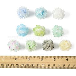 10 Stück 10 Farben Harzperlen&nbsp;RESI-FS0002-24A