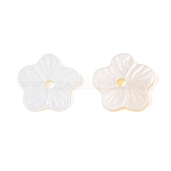 Perles de coquillages naturels d'eau douce&nbsp;BSHE-T014-15