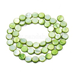 Süßwasser-Muschelperlen Stränge&nbsp;X-SHEL-T009-B16-04