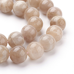 Natürliche sunstone Perlen Stränge&nbsp;G-G099-10mm-14