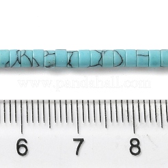 Kunsttürkisfarbenen Perlen Stränge&nbsp;G-K368-A05-02