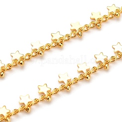 Catene per occhiali in ottone&nbsp;AJEW-EH00241-04