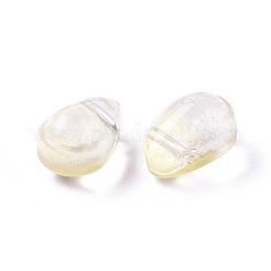 Transparente Glas Anhänger / charms&nbsp;GLAA-L027-L02