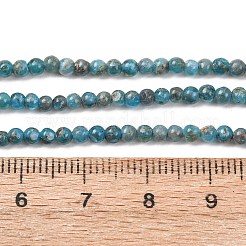 Natürliche Apatit Perlen Stränge&nbsp;G-H358-A12-3mm-01