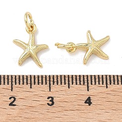 Messing Anhänger & Charms&nbsp;KK-P349-03G