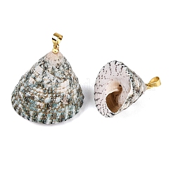 Ciondoli a spirale in ottone e conchiglia naturale&nbsp;SHEL-Q029-25KCG