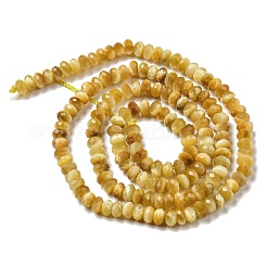 Fili di perline di occhio di tigre naturale&nbsp;G-K351-B01-01
