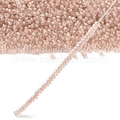 Perles rocailles miyuki rondes&nbsp;X-SEED-G007-RRHB279