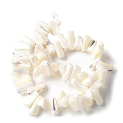 Gefärbte natürliche Trochus-Muschelperlenstränge&nbsp;SSHEL-C013-09J