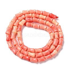 Fili di perline tinti di corallo sintetico&nbsp;SHEL-K007-01A