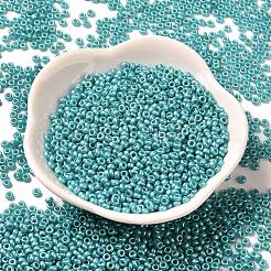 Perle di vetro per la cottura di vernici&nbsp;SEED-P006-03A-31