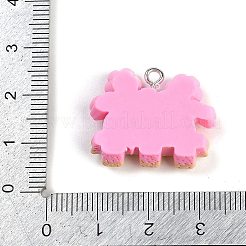 Pendentifs en résine&nbsp;RESI-I061-08A