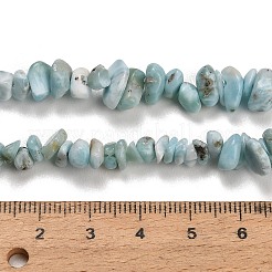 Larimar Naturperlen Stränge&nbsp;G-D109-B03