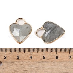 Natürliche Labradorit-Anhänger mit Facettenschliff&nbsp;KK-L218-005G-03