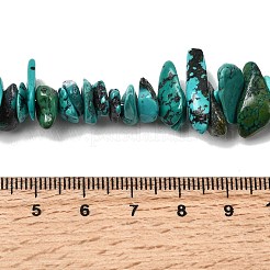 Natürliche hubei türkisfarbenen Perlen Stränge&nbsp;G-H345-A01-12