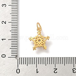 925 Sterling-Silber-Anhänger mit klaren Zirkonia&nbsp;STER-G049-01B-G