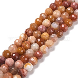 Chapelets de perles en bois pétrifié naturel, facetté (128 facettes), ronde, 6mm, Trou: 1mm, Environ 61 pcs/chapelet, 14.96'' (38 cm)