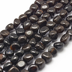 Natural Black Petrified Wood Beads Strands, Nuggets, 7~9x7~9x3~8mm, Hole: 1mm, about 42~47pcs/strand, 15.7 inch(40cm)