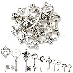 20 pz 10 ciondoli in lega di stile tibetano, ciondoli di skeleton key, argento antico, 15.5~50x7~19x1~5mm, Foro: 1~4 mm, 2pcs / style