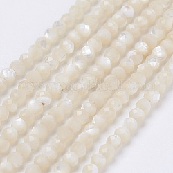 Natural Shell Beads Strands, Round, Faceted, Round, 2mm, Hole: 0.5mm, about 260pcs/strand, 15.7 inch(40cm)