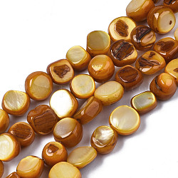 Natural Trochid Shell/Trochus Shell Beads Strands, Dyed, Flat Round, Dark Goldenrod, 5~9x1~6mm, Hole: 0.8mm, about 49~50pcs/strand, 15.16 inch~15.87 inch(38.5cm~40.3cm)