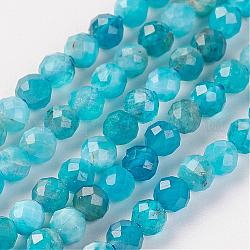 Cordón natural de perlas de apatita, redondo, facetados, 2mm, agujero: 0.5 mm, aproximamente 164 pcs / cadena, 15.8 pulgada (40.2 cm)