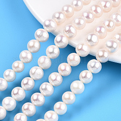 Natural Cultured Freshwater Pearl Beads Strands, Round, Seashell Color, 8~10mm, Hole: 0.5mm, about 46~47pcs/strand, 15.55~15.71 inch(39.5~39.9cm)