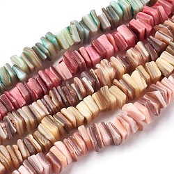 Chapelets de perles en coquille d'eau douce , teinte, perles heishi carrées, couleur mixte, 8~9x7.5~8x1~4mm, Trou: 0.5mm, 15.2~15.3 pouce (38.5~39 cm)