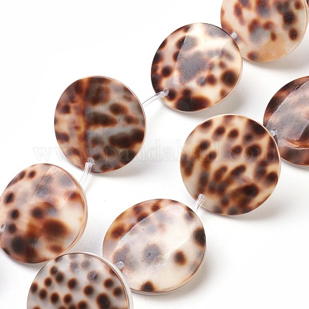 Tiger Cowrie Shell Beads Strands BSHE-L037-11-1
