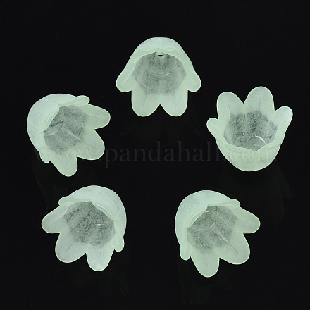 Transparentes bouchons acrylique de perles FACR-N005-002C-1