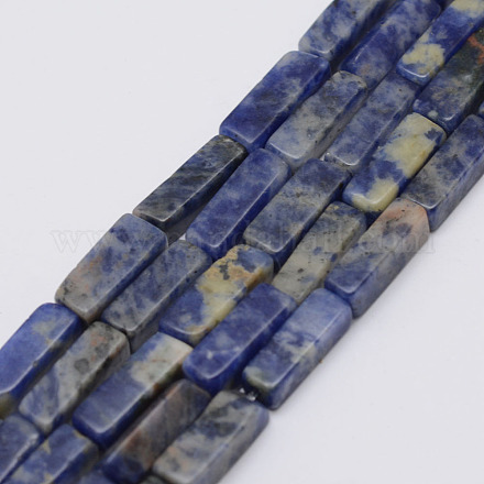 Natural Sodalite Stone Beads Strands G-F402-01-1