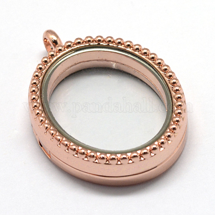 Vidrio ovalada colgantes de aleación magnética medallón PALLOY-S046-04RG-1