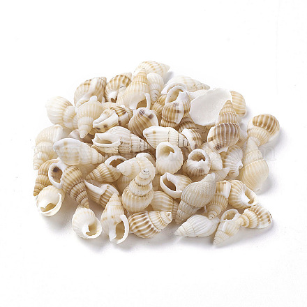 Chgcraft über 550pcs Kaurimuschel Perlen natürliche Spiralschalenperlen Bulk-Muschelperlen Charms für DIY Handwerk und Schmuckherstellung BSHE-PH0001-08-1