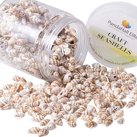 Perles de coquillage en spirale naturelle SSHEL-PH0002-10-1