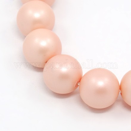 Round Shell Pearl Frosted Beads Strands BSHE-I002-4mm-24-1