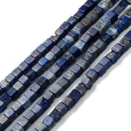 Chapelets de perles en lapis-lazuli naturel G-F631-K05-1