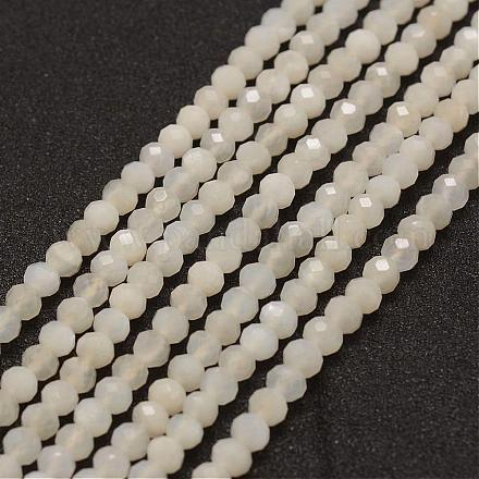 Chapelets de perles en pierre de lune naturelle G-P243-06-1
