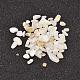 Natural White Shell Beads BSHE-G005-03-1