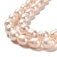 Natural Cultured Freshwater Pearl Beads Strands PEAR-E016-121-3