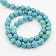Natural Howlite Beads Strands TURQ-I006-01-2