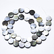 Natural Black Lip Shell Beads SSHEL-N036-034B-01-2