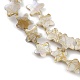 Brins de perles de coquille d'eau douce naturelles de style drawbench BSHE-E028-04-3