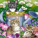 Diy прямоугольная кошка тема алмазная живопись наборы DIAM-PW0004-012-1