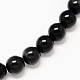 Grade AA Natural Obsidian Round Beads Strands G-L275-03-10mm-1