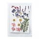 Gepresste Trockenblumen DIY-F075-01A-1