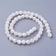 Chapelets de perles de coquillage SSHEL-E571-38-8mm-2