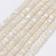 Chapelets de perles de coquillage naturel G-E354-03-1