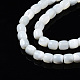 Chapelets de perles de coquille de trochid / trochus coquille SSHEL-N034-121-B01-3