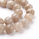 Chapelets de perles de sunstone naturelle naturelles G-G099-10mm-14-3