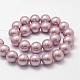 Rainbow Plated Shell Pearl Bead Strands BSHE-L025-4mm-M-3